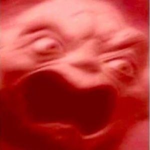 Meet your Posher, Rowen